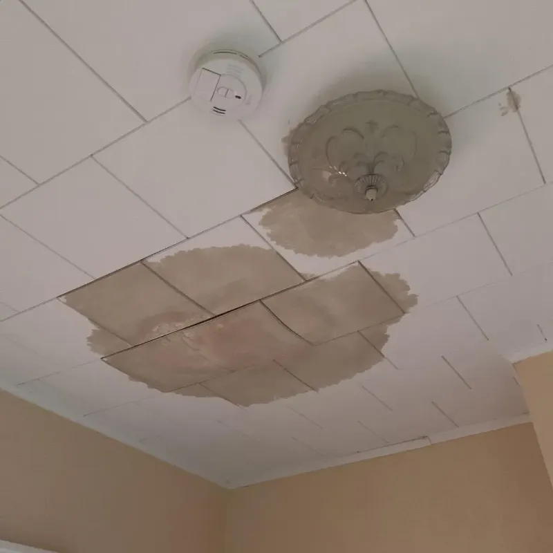Ceiling Water Damage Repair in North Amityville, NY