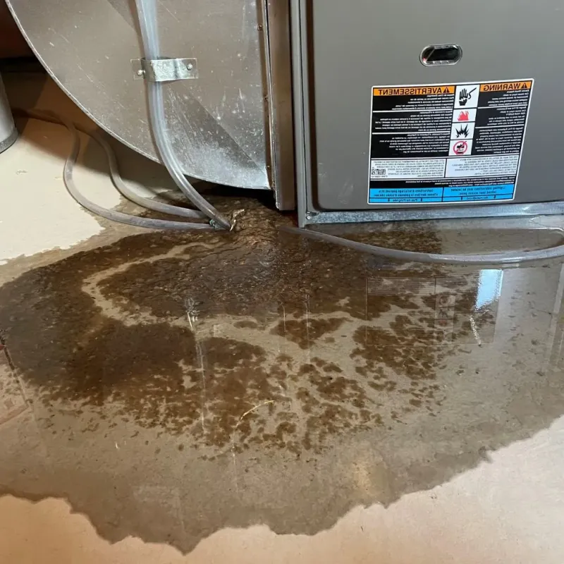 Pipe Burst and Leak Restoration in North Amityville, NY